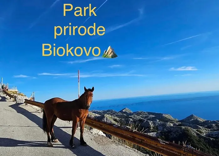 Appartement Soldan *